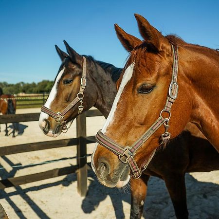 Vmg Horse Ranch (Adults Only) Villa ยูคมายอร์ ภายนอก รูปภาพ