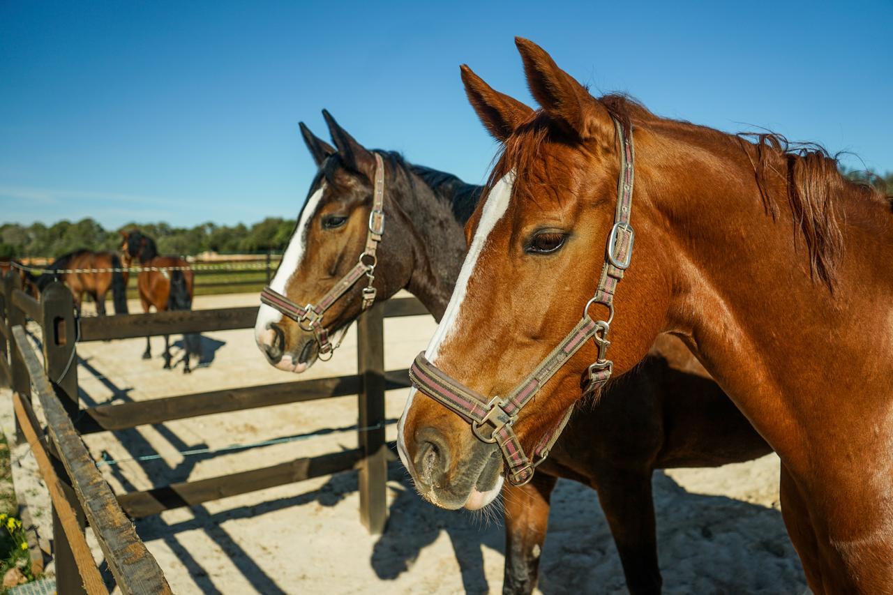 Vmg Horse Ranch (Adults Only) Villa ยูคมายอร์ ภายนอก รูปภาพ