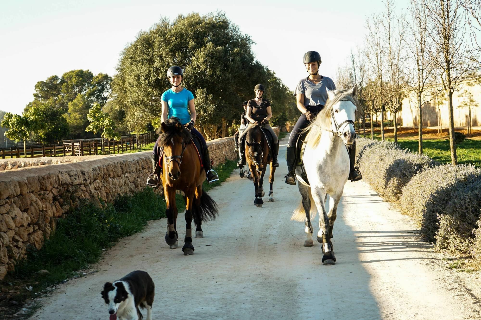 Vmg Horse Ranch (Adults Only) Villa ยูคมายอร์ ภายนอก รูปภาพ