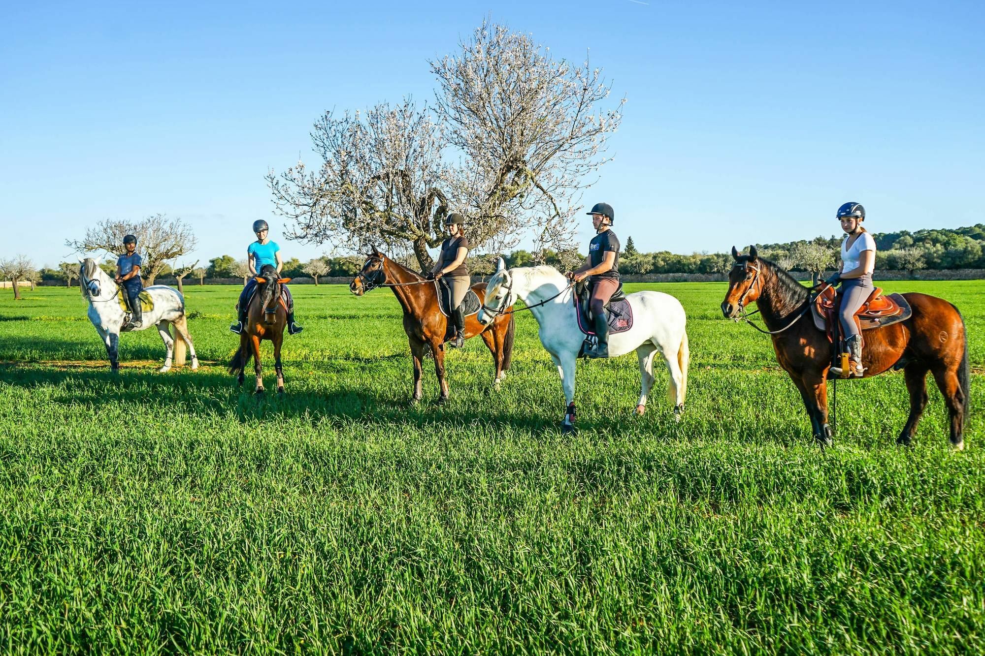 Vmg Horse Ranch (Adults Only) Villa ยูคมายอร์ ภายนอก รูปภาพ
